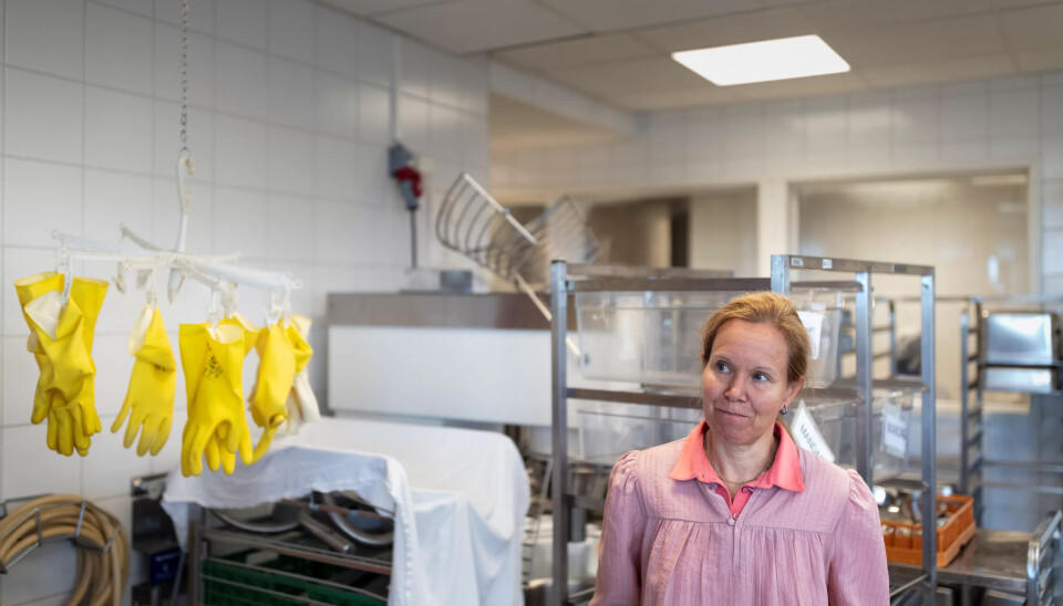 ALLE FÅR MAT HJEM: Pernilla Egedius er tjenesteleder forpleining i Gjøvik kommune. Her er terskelen lav for å bestille mat hjem fra det kommunale sentralkjøkkenet. Alle som ønsker det får være med på ordningen. ALLE FÅR MAT HJEM: Pernilla Egedius er tjenesteleder forpleining i Gjøvik kommune. Her er terskelen lav for å bestille mat hjem fra det kommunale sentralkjøkkenet. Alle som ønsker det får være med på ordningen.