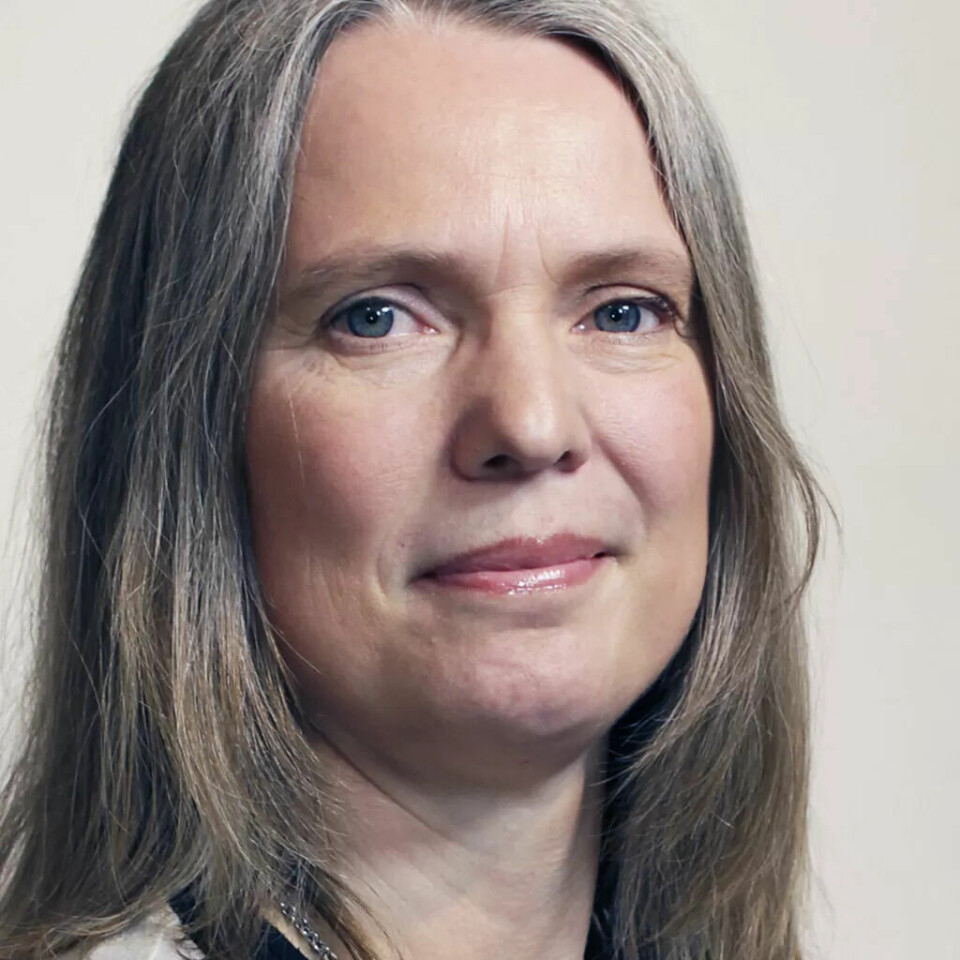 Forsker Mona Bråten i Fafo. Forsker Mona Bråten i Fafo.