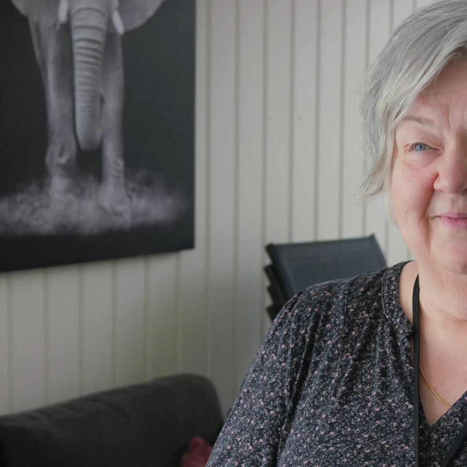 NORGESTOPPEN: Aukra kommune er blant dei i landet som tek i mot flest ukrainske flyktningar, målt per innbyggar. Aud Lisbeth Lillebostad er leiar for eining for innvandring og integrering og er personleg engasjert i arbeidet med flyktningar. NORGESTOPPEN: Aukra kommune er blant dei i landet som tek i mot flest ukrainske flyktningar, målt per innbyggar. Aud Lisbeth Lillebostad er leiar for eining for innvandring og integrering og er personleg engasjert i arbeidet med flyktningar.