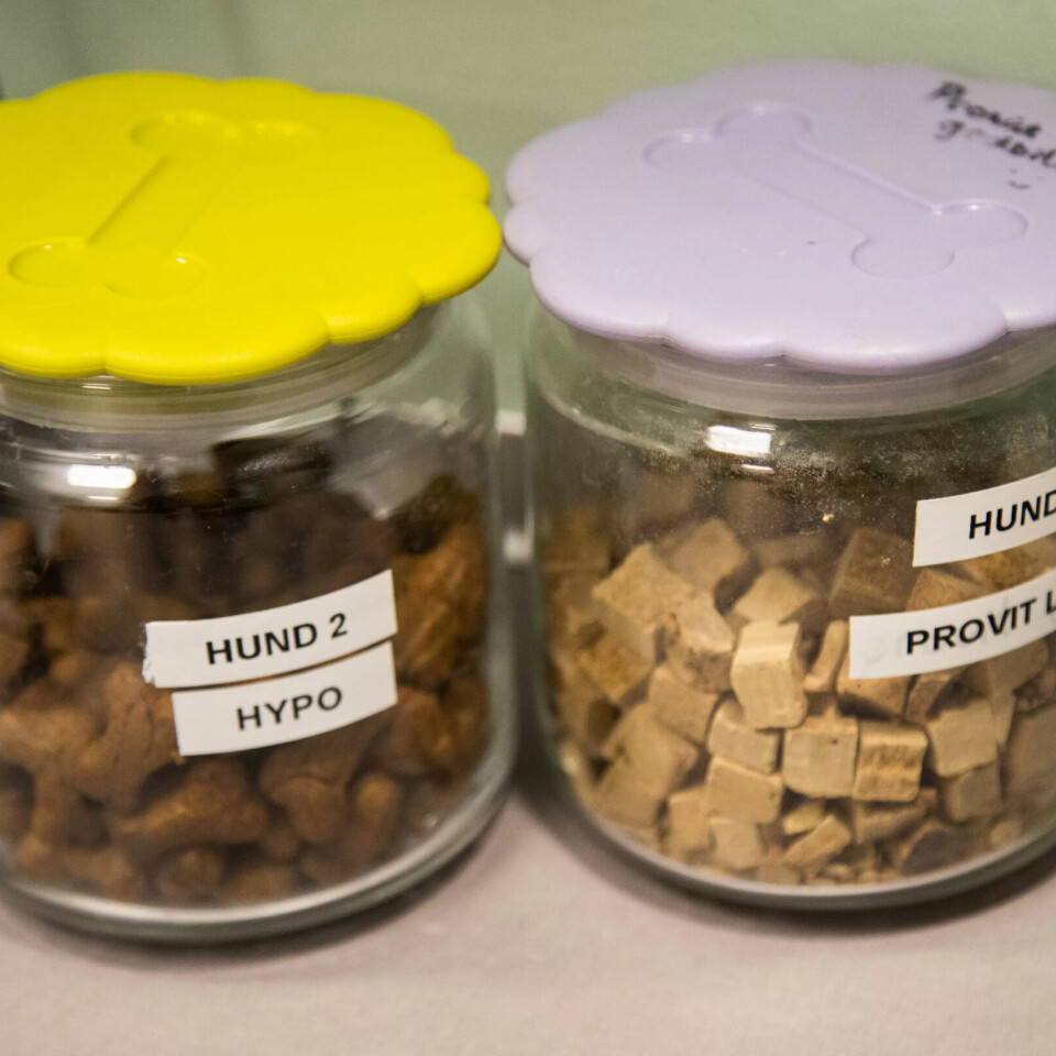 GODTERI: Hundesnacks må til når man skal på sykehus. GODTERI: Hundesnacks må til når man skal på sykehus.