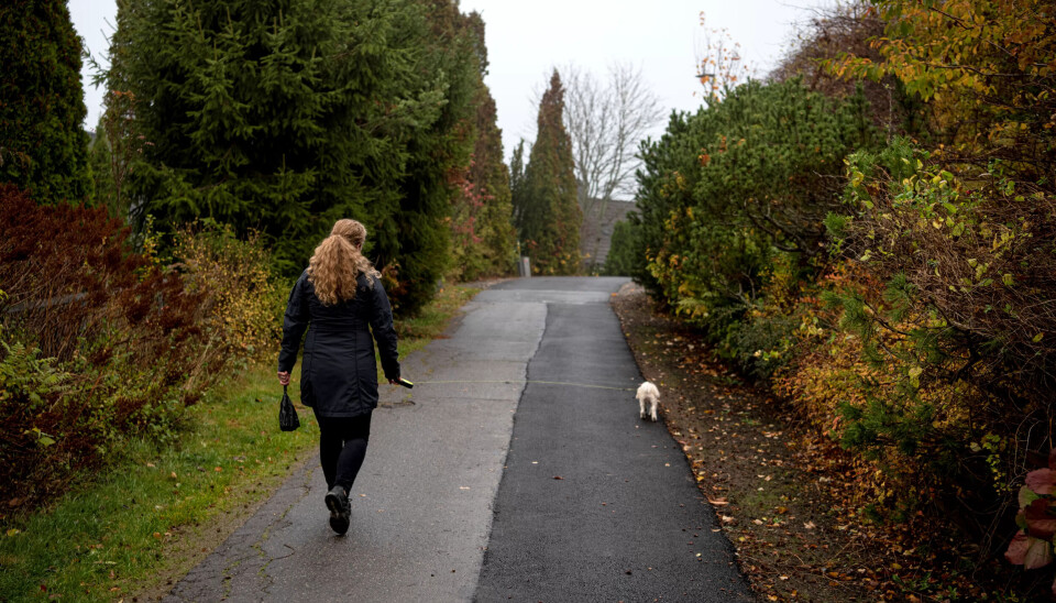 LUFTETUR: Stella må få en luftetur om morgenen. I dag har Tuva hjemmekontor, så da ble det tur når ungene var ute av huset. LUFTETUR: Stella må få en luftetur om morgenen. I dag har Tuva hjemmekontor, så da ble det tur når ungene var ute av huset.