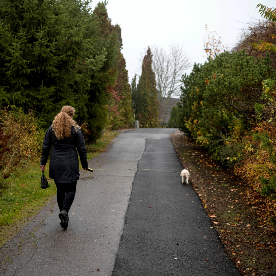 LUFTETUR: Stella må få en luftetur om morgenen. I dag har Tuva hjemmekontor, så da ble det tur når ungene var ute av huset. LUFTETUR: Stella må få en luftetur om morgenen. I dag har Tuva hjemmekontor, så da ble det tur når ungene var ute av huset.