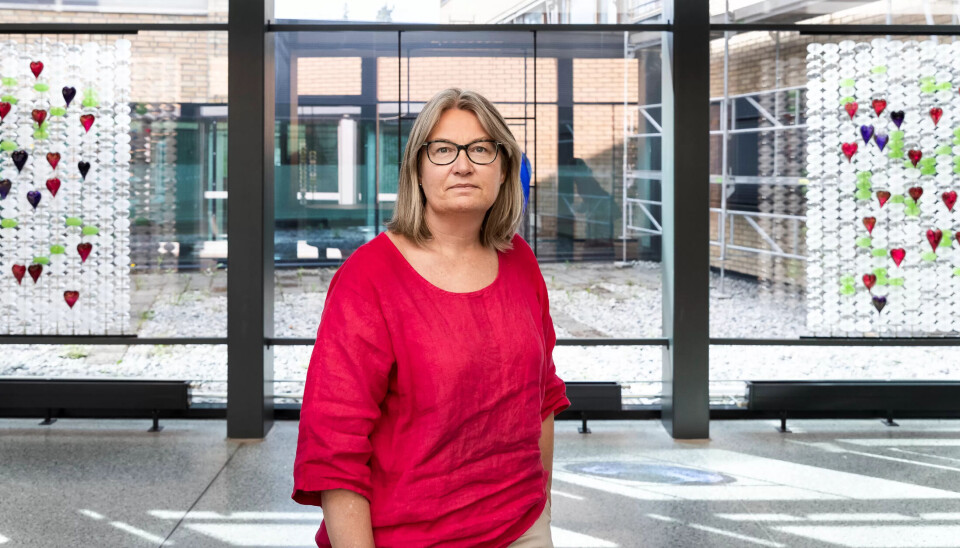 «Da myndighetene først gikk ut med at det var åtte drepte, visste vi allerede at det var mange flere.»