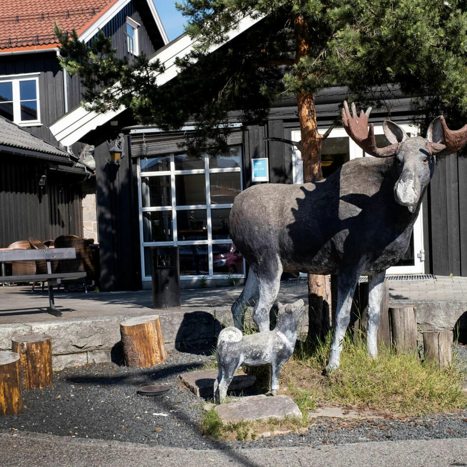 SKOGHOVEDSTADEN: Skogbruk, jakt og fiske er viktig i Elverum. Elgstua er et populært stopp for mange som reiser gjennom kommunen. SKOGHOVEDSTADEN: Skogbruk, jakt og fiske er viktig i Elverum. Elgstua er et populært stopp for mange som reiser gjennom kommunen.