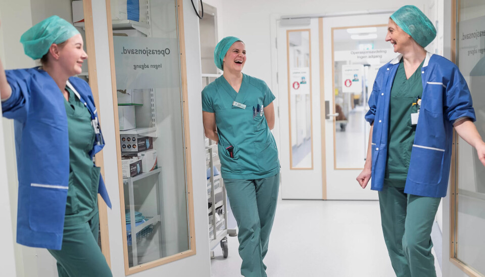 MØTES PÅ GANGEN: – Med gode prosedyrer og stabile ansatte går det bra, mener Guro Kallestad. Fagsykepleieren er likevel overrasket over at det har gått SÅ godt å overføre oppgaven med å finne frem til morgendagens operasjoner fra operasjonssykepleier til instrumentteknikerne. MØTES PÅ GANGEN: – Med gode prosedyrer og stabile ansatte går det bra, mener Guro Kallestad. Fagsykepleieren er likevel overrasket over at det har gått SÅ godt å overføre oppgaven med å finne frem til morgendagens operasjoner fra operasjonssykepleier til instrumentteknikerne.
