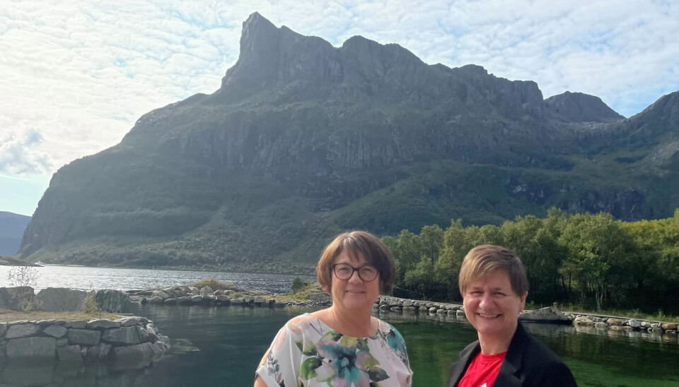 TURISTPERLE: Hornelen, Europas høyeste sjøklippe i bakgrunnen og ordfører fra Ap Anne Kristin Førde og nestleder i Fagforbundet Helene Harsvik Skeibrok i forgrunnen. TURISTPERLE: Hornelen, Europas høyeste sjøklippe i bakgrunnen og ordfører fra Ap Anne Kristin Førde og nestleder i Fagforbundet Helene Harsvik Skeibrok i forgrunnen.