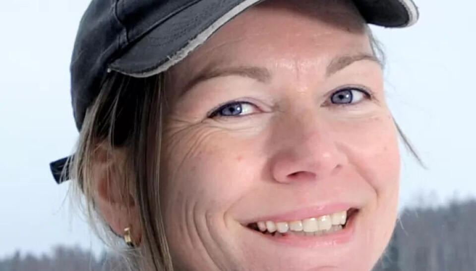 Feierne gjør mye mer enn å sjekke pipa. De tar vare på folk