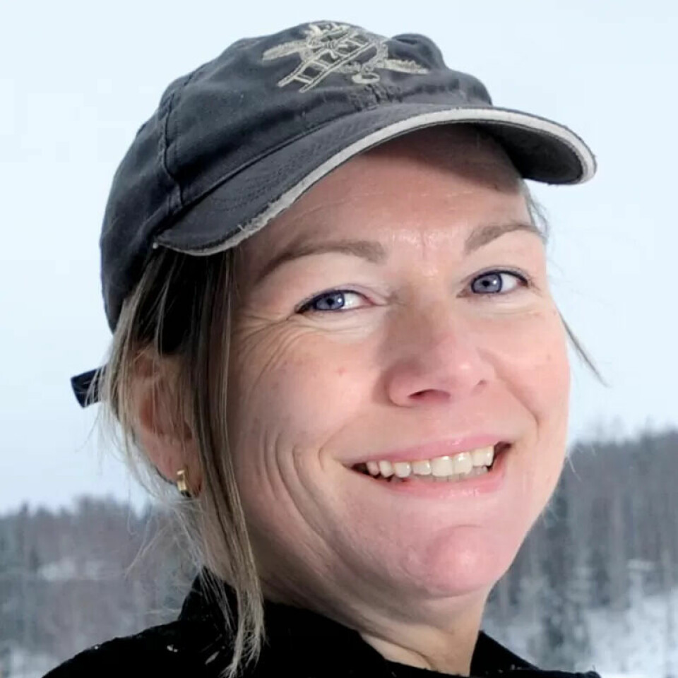 Feierne gjør mye mer enn å sjekke pipa. De tar vare på folk