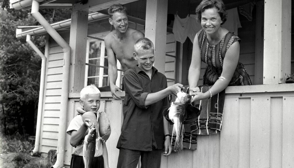 HYTTELIV I PÅ 60-TALLET: Hytta er fortsatt et populært feriemål for nordmenn. Her fra Postfunksjonærenes feriehjem på Skiphelle i Drøbak i juli 1964. HYTTELIV I PÅ 60-TALLET: Hytta er fortsatt et populært feriemål for nordmenn. Her fra Postfunksjonærenes feriehjem på Skiphelle i Drøbak i juli 1964.