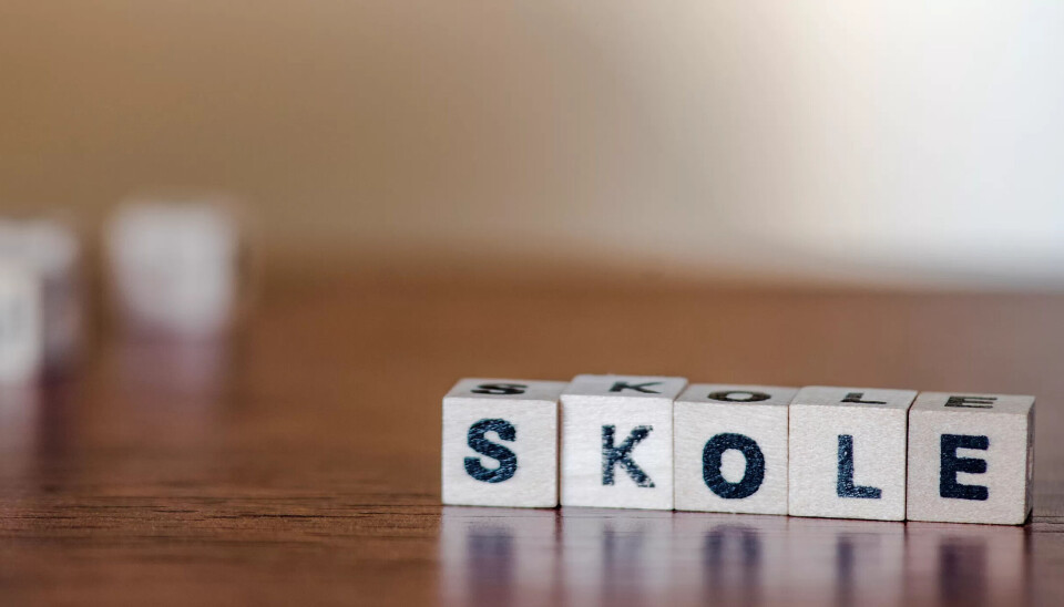 Skolen er en arena for mangfold: De ansatte fortjener tillit