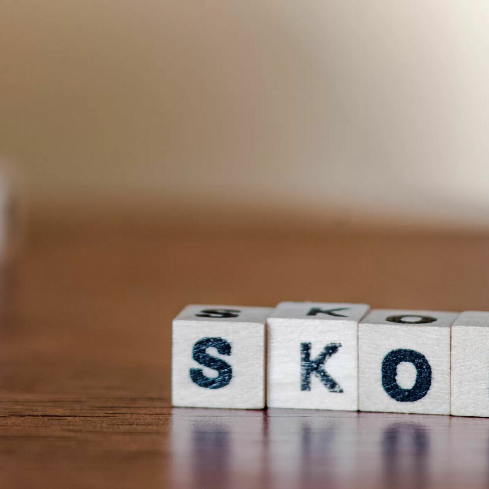 Skolen er en arena for mangfold: De ansatte fortjener tillit