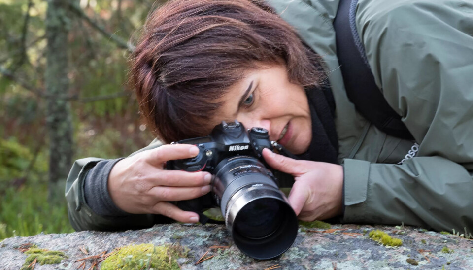 Anngunn Flatebø Dårflot finner trøs og medisin i å fotografere. Anngunn Flatebø Dårflot finner trøs og medisin i å fotografere.
