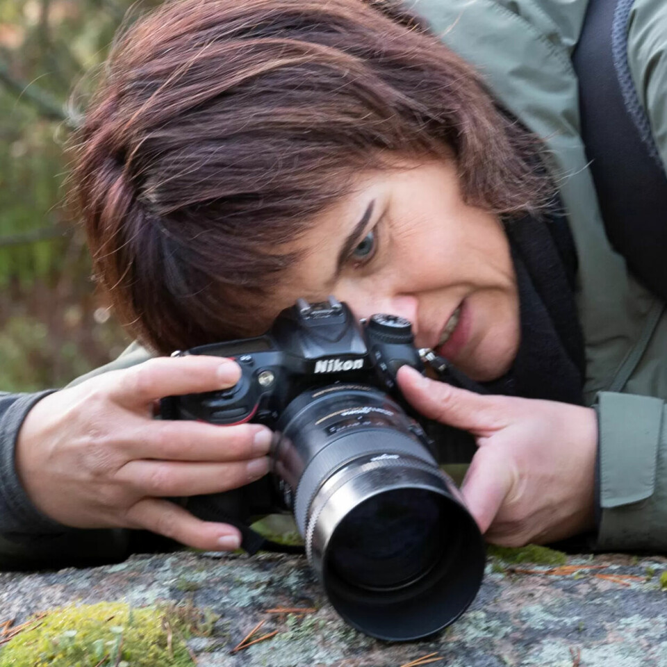 Anngunn Flatebø Dårflot finner trøs og medisin i å fotografere. Anngunn Flatebø Dårflot finner trøs og medisin i å fotografere.