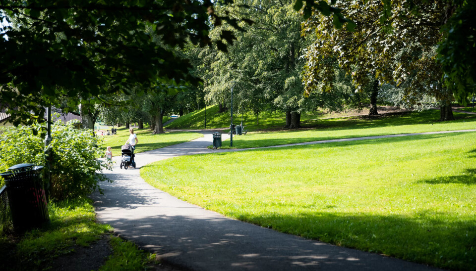 KOM DEG UT: Elisabeth Østrem anbefaler alle på hjemmekontor som kan, å ta pauser og gå i parken eller i skogen. KOM DEG UT: Elisabeth Østrem anbefaler alle på hjemmekontor som kan, å ta pauser og gå i parken eller i skogen.