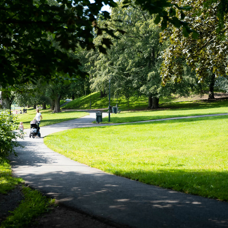 KOM DEG UT: Elisabeth Østrem anbefaler alle på hjemmekontor som kan, å ta pauser og gå i parken eller i skogen. KOM DEG UT: Elisabeth Østrem anbefaler alle på hjemmekontor som kan, å ta pauser og gå i parken eller i skogen.