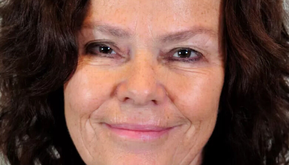 Anne Lise Ellingsæter, professor i sosiologi ved UiO. Anne Lise Ellingsæter, professor i sosiologi ved UiO.