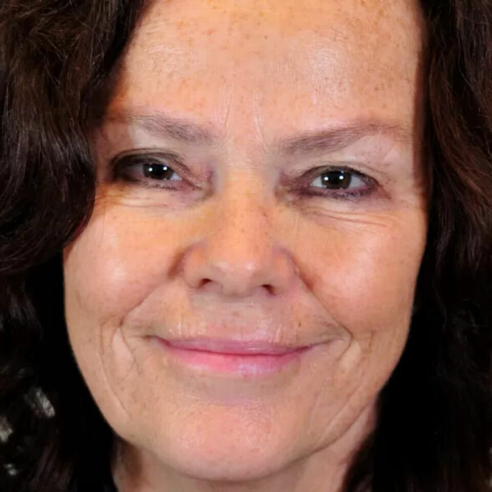 Anne Lise Ellingsæter, professor i sosiologi ved UiO. Anne Lise Ellingsæter, professor i sosiologi ved UiO.