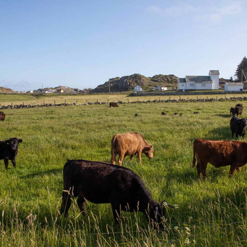 En flat dal med jordbruksland skjærer gjennom hele øya fra nord til sør En flat dal med jordbruksland skjærer gjennom hele øya fra nord til sør