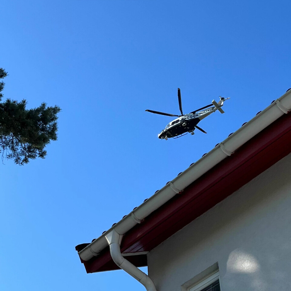LEITEAKSJON: Helikopter ble tatt i bruk i søket etter Elisabeth. LEITEAKSJON: Helikopter ble tatt i bruk i søket etter Elisabeth.