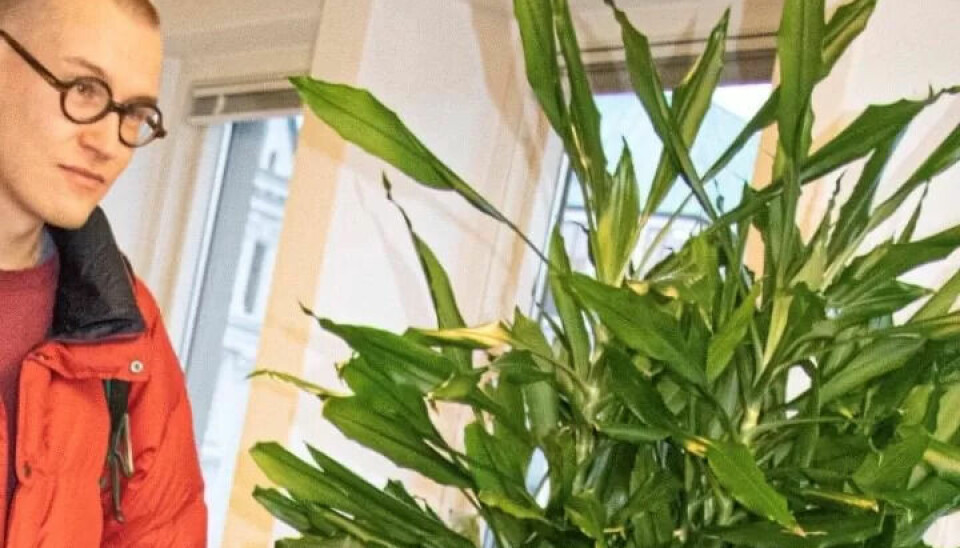 Kristoffer Kostveit sier han i utgangspunktet bare er en anonym arbeider i det store offentlige maskineriet. Her er han ved siden av det han selv beskriver som 'en kommunal plante'. Kristoffer Kostveit sier han i utgangspunktet bare er en anonym arbeider i det store offentlige maskineriet. Her er han ved siden av det han selv beskriver som 'en kommunal plante'.