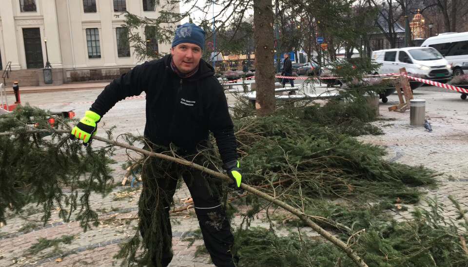 TRADISJON: Tømrer Ronny og kollegaene bruker en dag i november hvert år på å sminke julegranapå Universitetsplassen i Oslo. TRADISJON: Tømrer Ronny og kollegaene bruker en dag i november hvert år på å sminke julegranapå Universitetsplassen i Oslo.