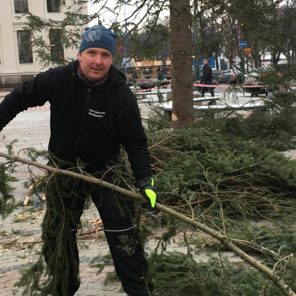 TRADISJON: Tømrer Ronny og kollegaene bruker en dag i november hvert år på å sminke julegranapå Universitetsplassen i Oslo. TRADISJON: Tømrer Ronny og kollegaene bruker en dag i november hvert år på å sminke julegranapå Universitetsplassen i Oslo.
