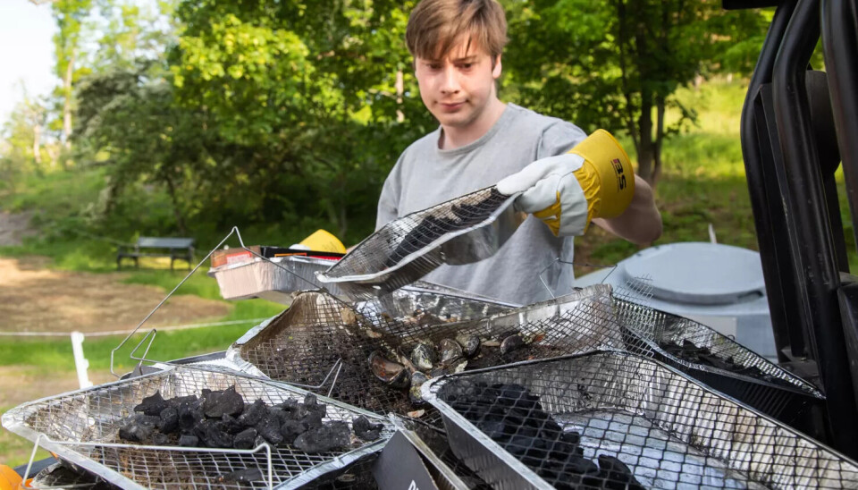 ENGANGSGRILLER: Sommervikar Amund Holen plukker mengder med engangsgriller på den populære øye. ENGANGSGRILLER: Sommervikar Amund Holen plukker mengder med engangsgriller på den populære øye.