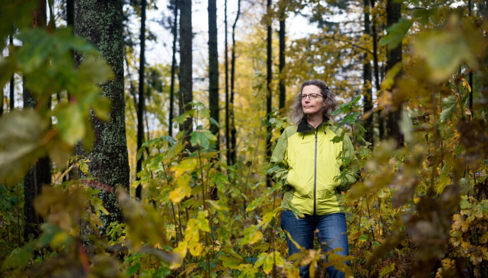 I SITT RETTE ELEMENT: Til tross for Anne Sverdrup-Thygesons skriveglede, er det ute i naturen hun trives aller best. I SITT RETTE ELEMENT: Til tross for Anne Sverdrup-Thygesons skriveglede, er det ute i naturen hun trives aller best.
