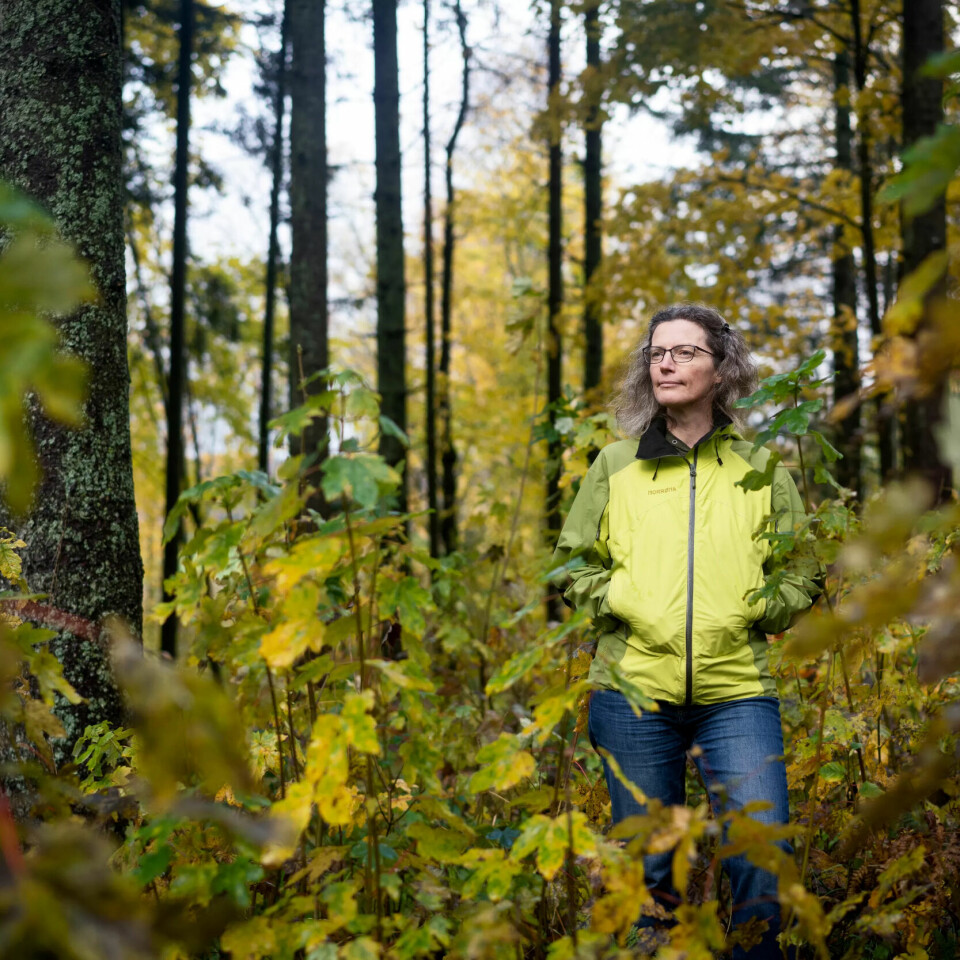 I SITT RETTE ELEMENT: Til tross for Anne Sverdrup-Thygesons skriveglede, er det ute i naturen hun trives aller best. I SITT RETTE ELEMENT: Til tross for Anne Sverdrup-Thygesons skriveglede, er det ute i naturen hun trives aller best.