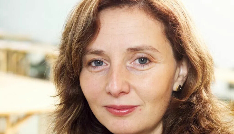 Gunn Karin Gjul er lansert som en aktuell nestlederkandidat. Gunn Karin Gjul er lansert som en aktuell nestlederkandidat.