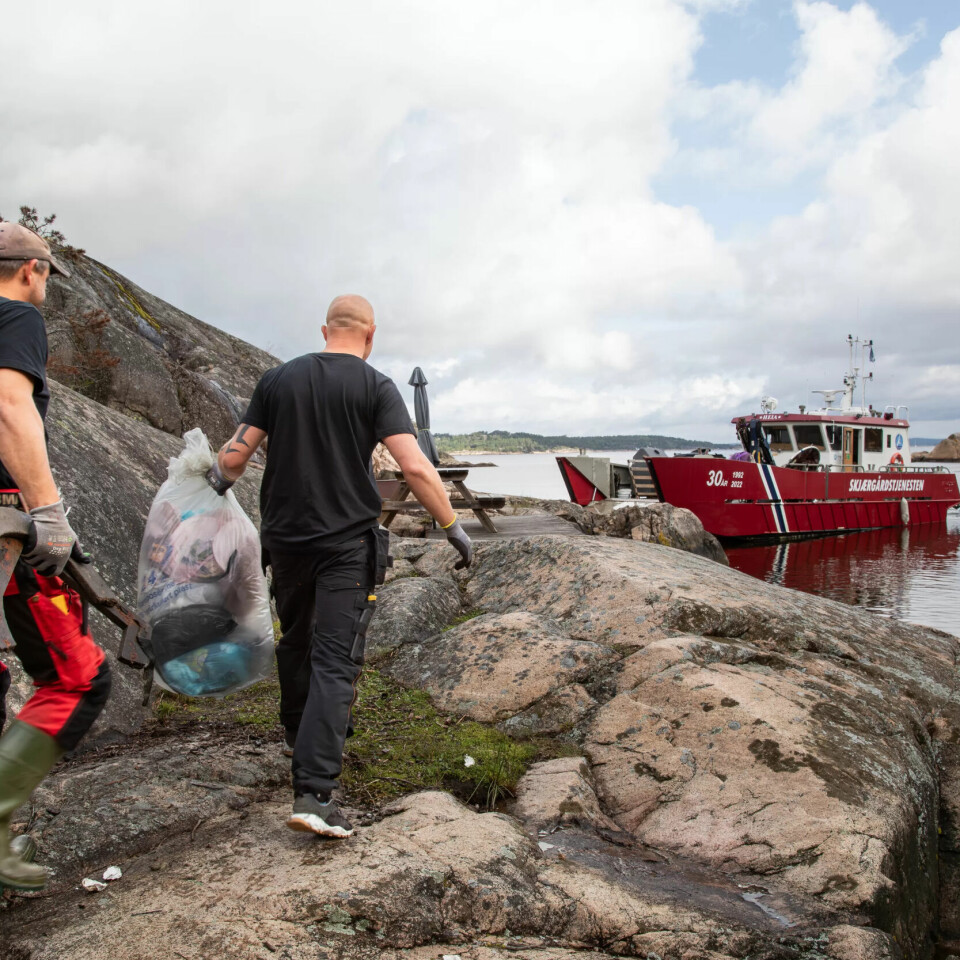 OMFANG: På en sesong henter de cirka 2500 sekker. OMFANG: På en sesong henter de cirka 2500 sekker.