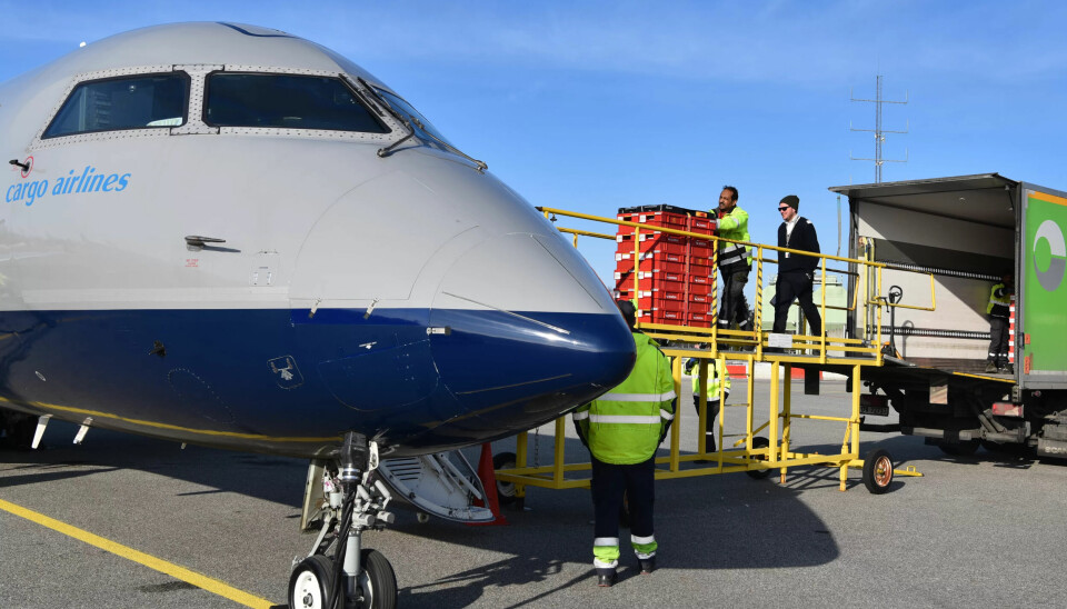 FLYENE LASTES: Vårsola skinner over Gardermoen i det Amanuel Meles Mahdere (midt i bildet) og kollegene laster postflyet til Tromsø. FLYENE LASTES: Vårsola skinner over Gardermoen i det Amanuel Meles Mahdere (midt i bildet) og kollegene laster postflyet til Tromsø.