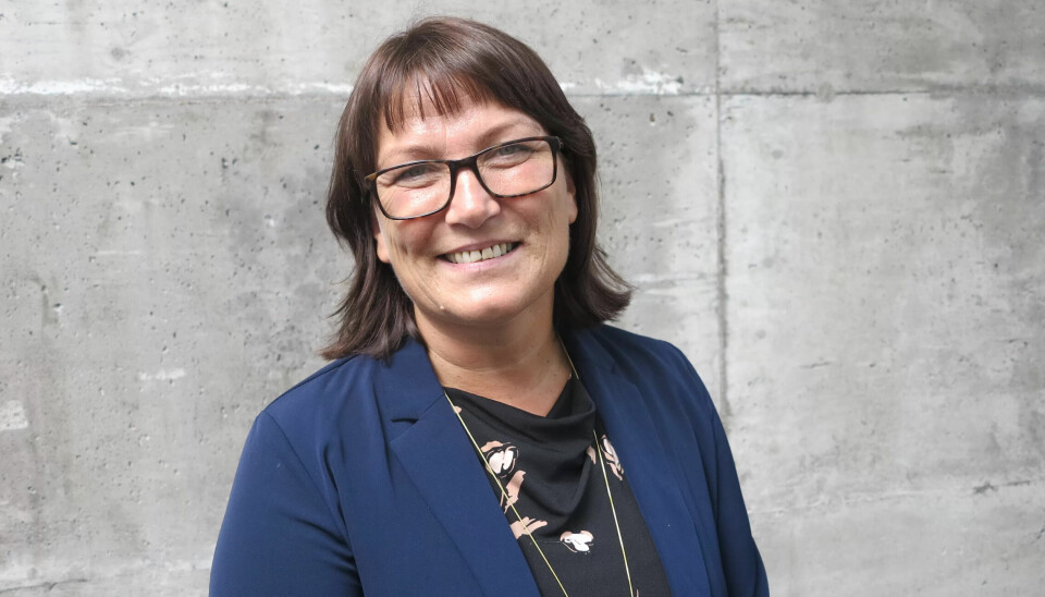 Anita Johansen er forbundsleder i Norsk Arbeidsmandsforbund. Anita Johansen er forbundsleder i Norsk Arbeidsmandsforbund.