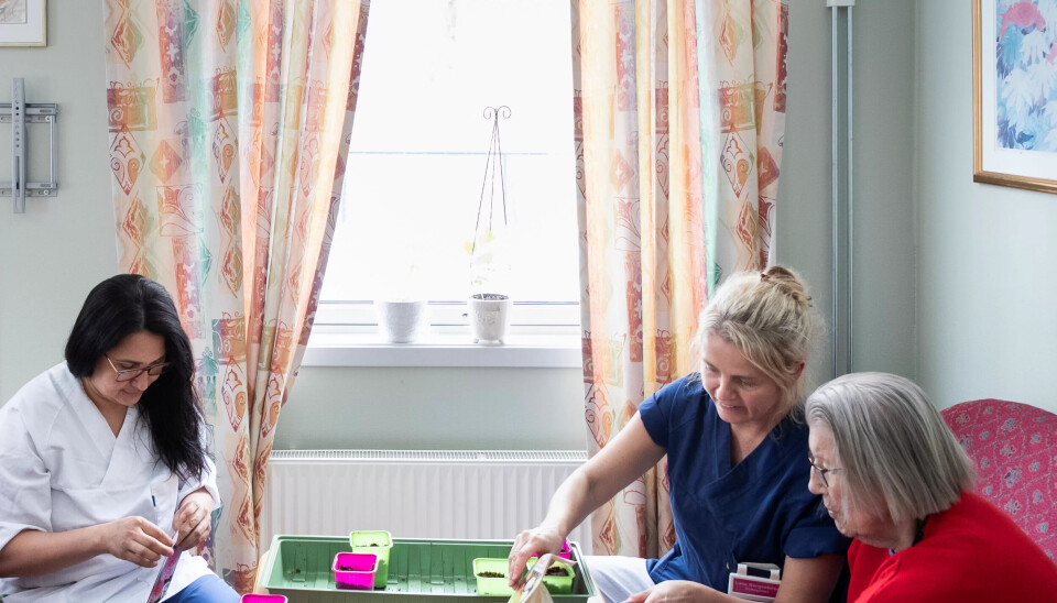 NYTTIG INNSATS: Unni (86) har grønne fingre. Her sår hun frø sammen med Rafaela Henriksson og Laila Bergseteren. Snart setter de pottene ut i sansehagen sammen med bærbusker og grønnsaker. NYTTIG INNSATS: Unni (86) har grønne fingre. Her sår hun frø sammen med Rafaela Henriksson og Laila Bergseteren. Snart setter de pottene ut i sansehagen sammen med bærbusker og grønnsaker.