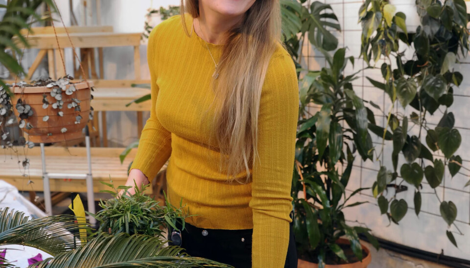 MANGE DRØMMER: Miriam Furan har blant annet bakgrunn som sykepleier. Hun har mange planer for å drive grønt, helsefremmende arbeid. MANGE DRØMMER: Miriam Furan har blant annet bakgrunn som sykepleier. Hun har mange planer for å drive grønt, helsefremmende arbeid.