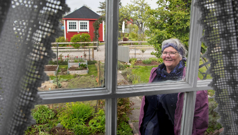 KOLONIST: Anne-Solveig Simensen liker å grave i jorda. Hun dyrker for det meste nyttevekster. KOLONIST: Anne-Solveig Simensen liker å grave i jorda. Hun dyrker for det meste nyttevekster.