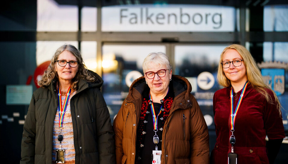 VIL BELYSE SAKEN: Fra venstre: Tanja Johansen (51), Heidi Folvik (56) og Eirin Holm Rise (43) forteller om angrepet i mai – og flere andre hendelser med trusler de siste årene. VIL BELYSE SAKEN: Fra venstre: Tanja Johansen (51), Heidi Folvik (56) og Eirin Holm Rise (43) forteller om angrepet i mai – og flere andre hendelser med trusler de siste årene.