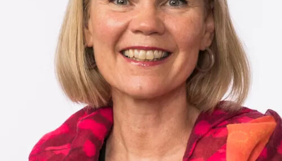 SVAKT: Åsunn Lyngedal (Ap) hadde forventet nye kroner for å sikre finansiering av fagskole for brann, redning og samfunnssikkerhet. SVAKT: Åsunn Lyngedal (Ap) hadde forventet nye kroner for å sikre finansiering av fagskole for brann, redning og samfunnssikkerhet.