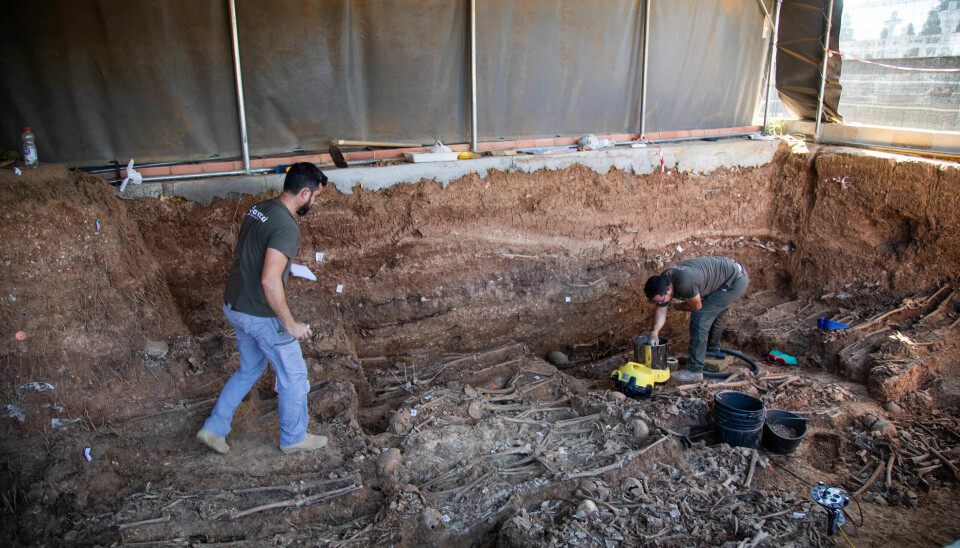 KREVENDE: Jesús Román og Antonio Dominguez fra ekspertgruppa Aranzadi har en komplisert oppgave med å finne og identifisere ofre. KREVENDE: Jesús Román og Antonio Dominguez fra ekspertgruppa Aranzadi har en komplisert oppgave med å finne og identifisere ofre.