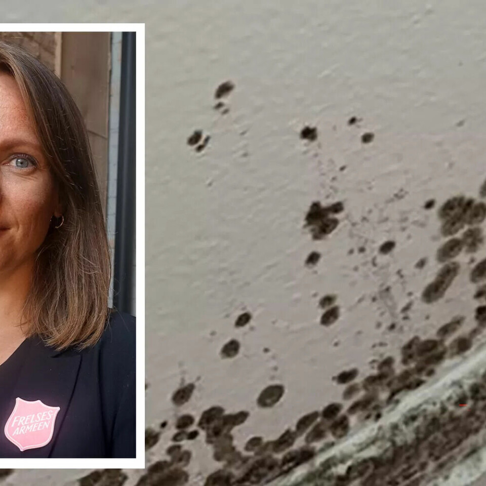 Ida Sollien Kjeldal i Frelsesarmeen vil ha offentlig godkjenning av utleieboliger. Ida Sollien Kjeldal i Frelsesarmeen vil ha offentlig godkjenning av utleieboliger.