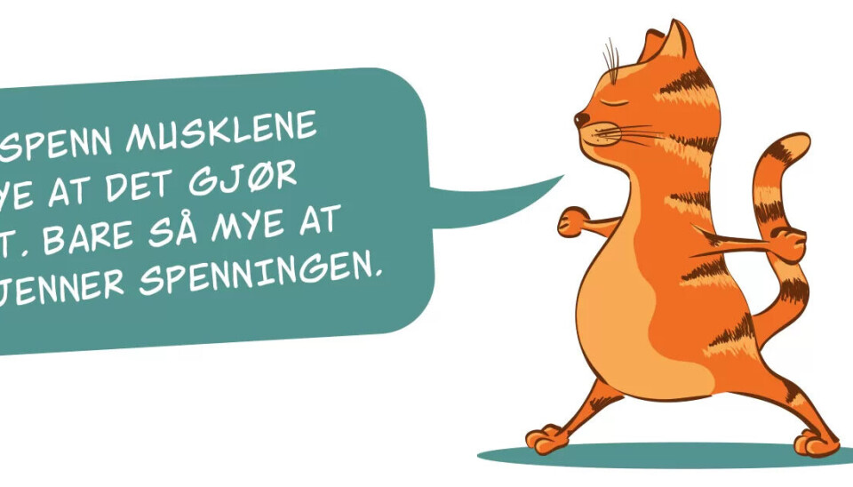 Mye stress på jobb? Gjenvinn roen med disse avspenningsøvelsene