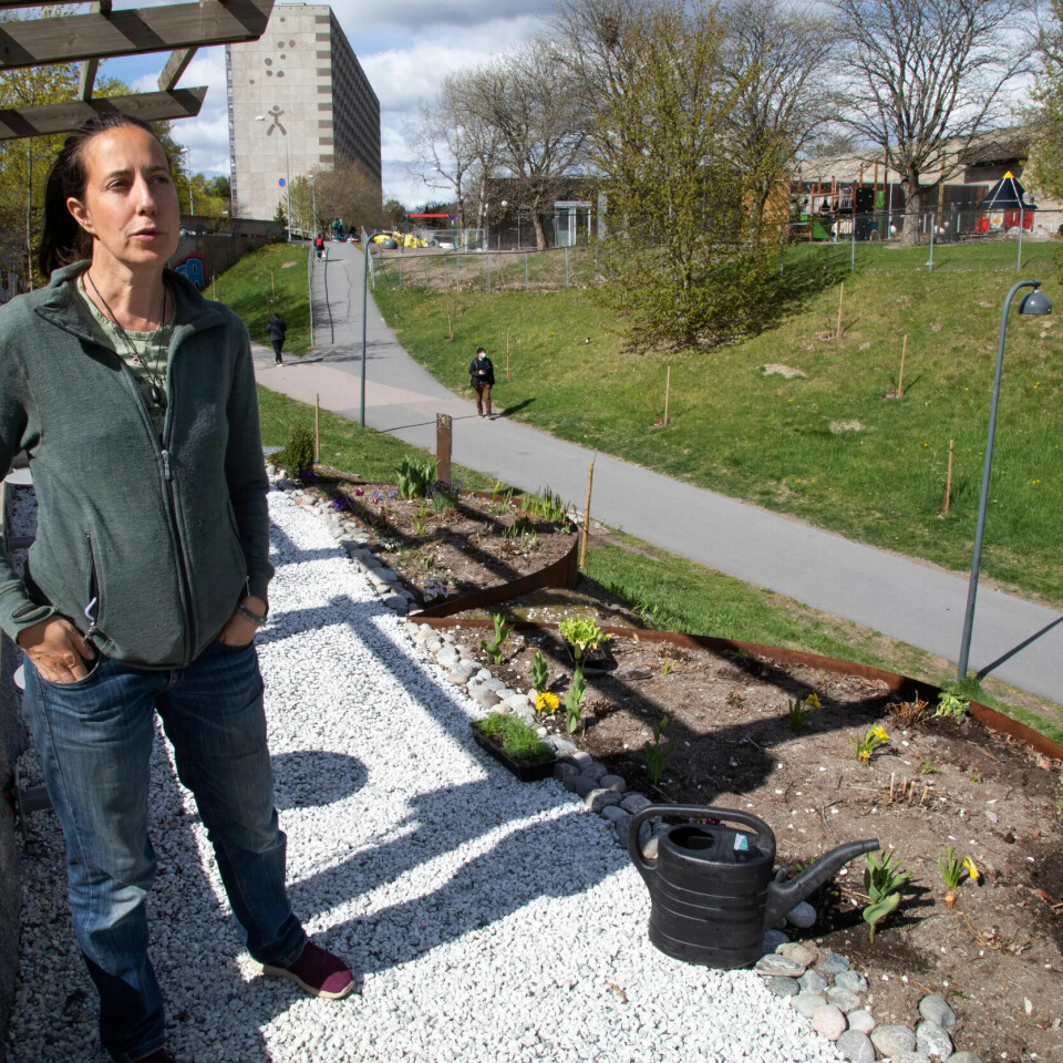 PLANTESJEF: Prosjektleder Frøydis Jørve sørger for at ungdommene kan lære om planter og urter. PLANTESJEF: Prosjektleder Frøydis Jørve sørger for at ungdommene kan lære om planter og urter.