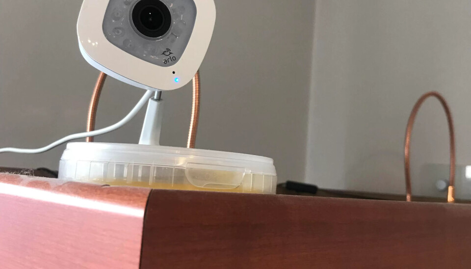 VIDEO OG LYD: Kameraet som ble brukt kan ta opp både bilde og lyd. Fagbladet har fått opplyst av de to fagorganiserte på salongen at videoene fra kameraet kunne sees på en mobilapp som sjefen brukte. VIDEO OG LYD: Kameraet som ble brukt kan ta opp både bilde og lyd. Fagbladet har fått opplyst av de to fagorganiserte på salongen at videoene fra kameraet kunne sees på en mobilapp som sjefen brukte.
