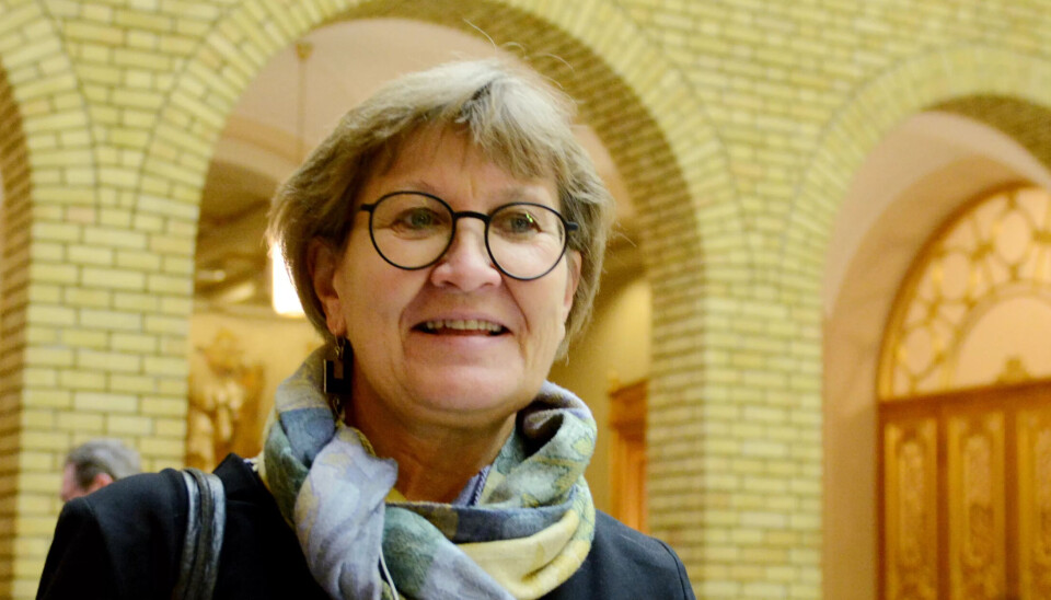 VIL TETTE HULL: Forbundsleder Mette Nord vil tette det hun omtaler som hull i pensjonsreformen, og varsler at pensjon blir et viktig tema på LO-kongressen. VIL TETTE HULL: Forbundsleder Mette Nord vil tette det hun omtaler som hull i pensjonsreformen, og varsler at pensjon blir et viktig tema på LO-kongressen.