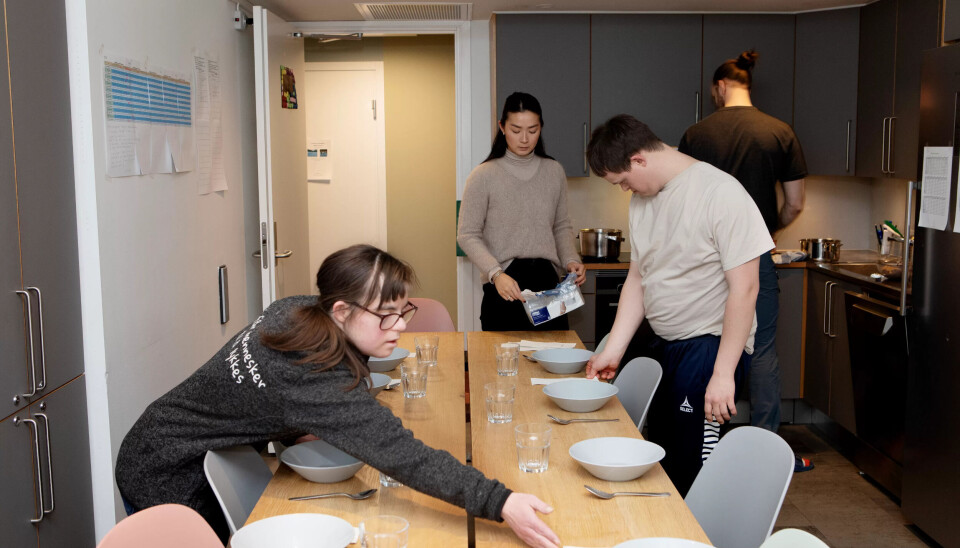 Snart klart: Siri og Helga passer på at alle får både skjeer og servietter til dagens vegetarmåltid i felleskjøkkenet. Bak står vernepleier Jenny Stubdal Røer og miljøterapeut Fagus Moss. Snart klart: Siri og Helga passer på at alle får både skjeer og servietter til dagens vegetarmåltid i felleskjøkkenet. Bak står vernepleier Jenny Stubdal Røer og miljøterapeut Fagus Moss.