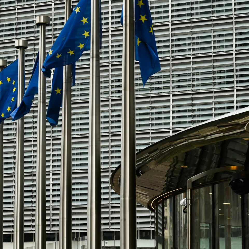 POSITIVE: Unge menn er stadig mer positive til EU. POSITIVE: Unge menn er stadig mer positive til EU.