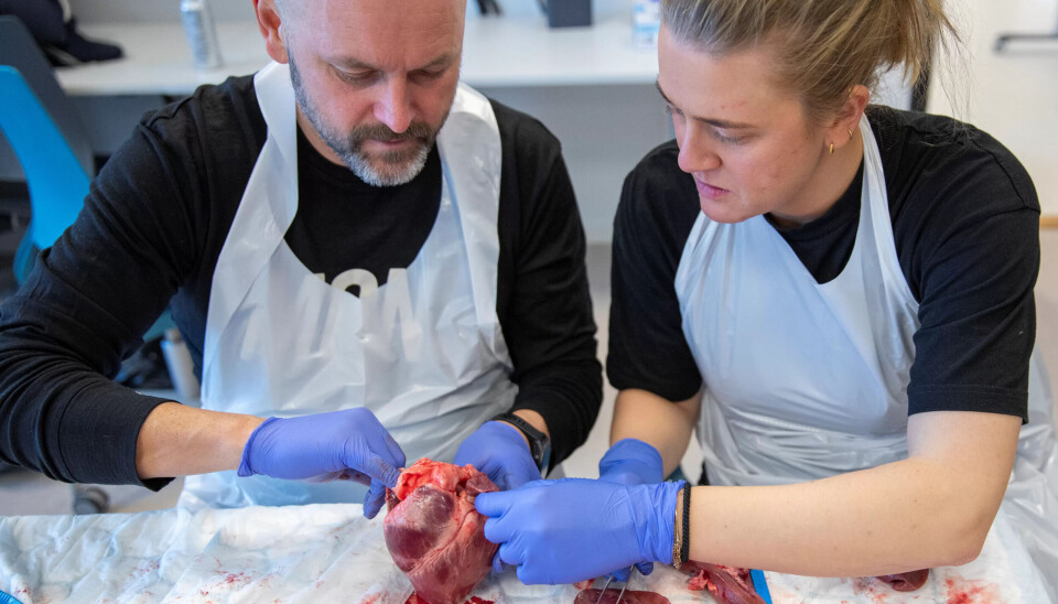 SAMARBEID: Lars Fidjestøl og Malene Velstabråten fra Modum var en gang konkurrenter i NM i ambulansefag. Nå er de kolleger og makkere. SAMARBEID: Lars Fidjestøl og Malene Velstabråten fra Modum var en gang konkurrenter i NM i ambulansefag. Nå er de kolleger og makkere.
