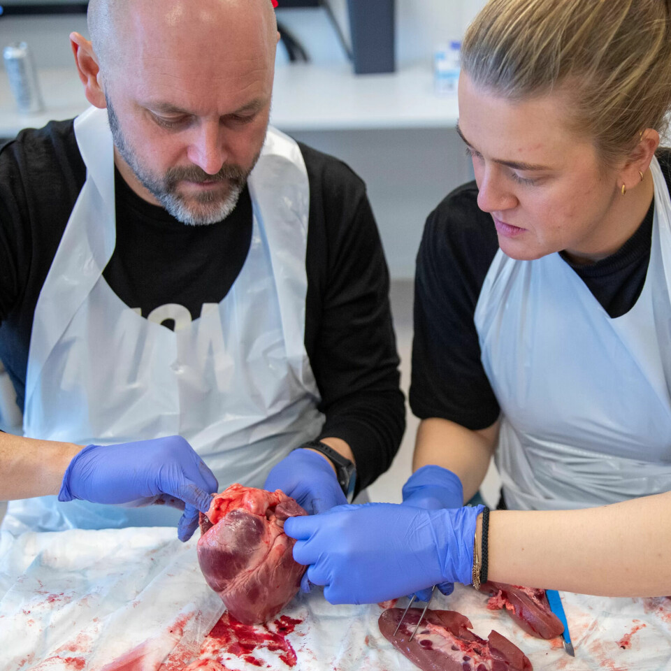 SAMARBEID: Lars Fidjestøl og Malene Velstabråten fra Modum var en gang konkurrenter i NM i ambulansefag. Nå er de kolleger og makkere. SAMARBEID: Lars Fidjestøl og Malene Velstabråten fra Modum var en gang konkurrenter i NM i ambulansefag. Nå er de kolleger og makkere.