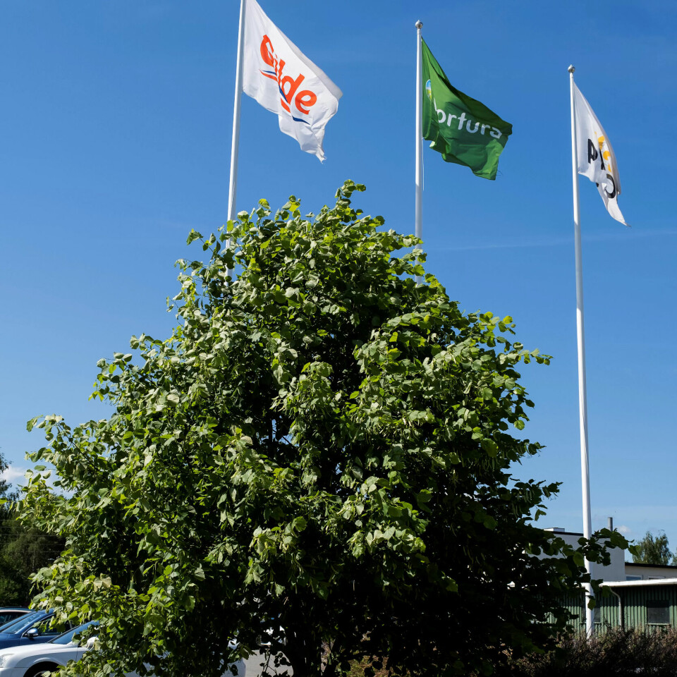 SKAL VOKSE SEG STORT: Lindetreet utenfor Norturas kyllingslakteri ble plantet etter at arbeidsplassen ble reddet fra nedleggelse i 2012. SKAL VOKSE SEG STORT: Lindetreet utenfor Norturas kyllingslakteri ble plantet etter at arbeidsplassen ble reddet fra nedleggelse i 2012.