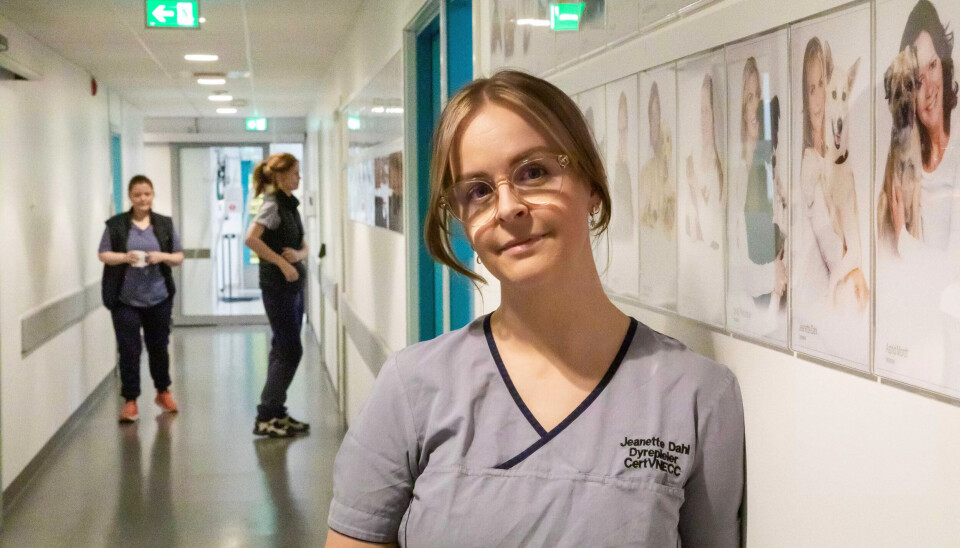 VEGGPRYD: I korridoren henger portretter av alle ansatte - med hver sin hund. VEGGPRYD: I korridoren henger portretter av alle ansatte - med hver sin hund.